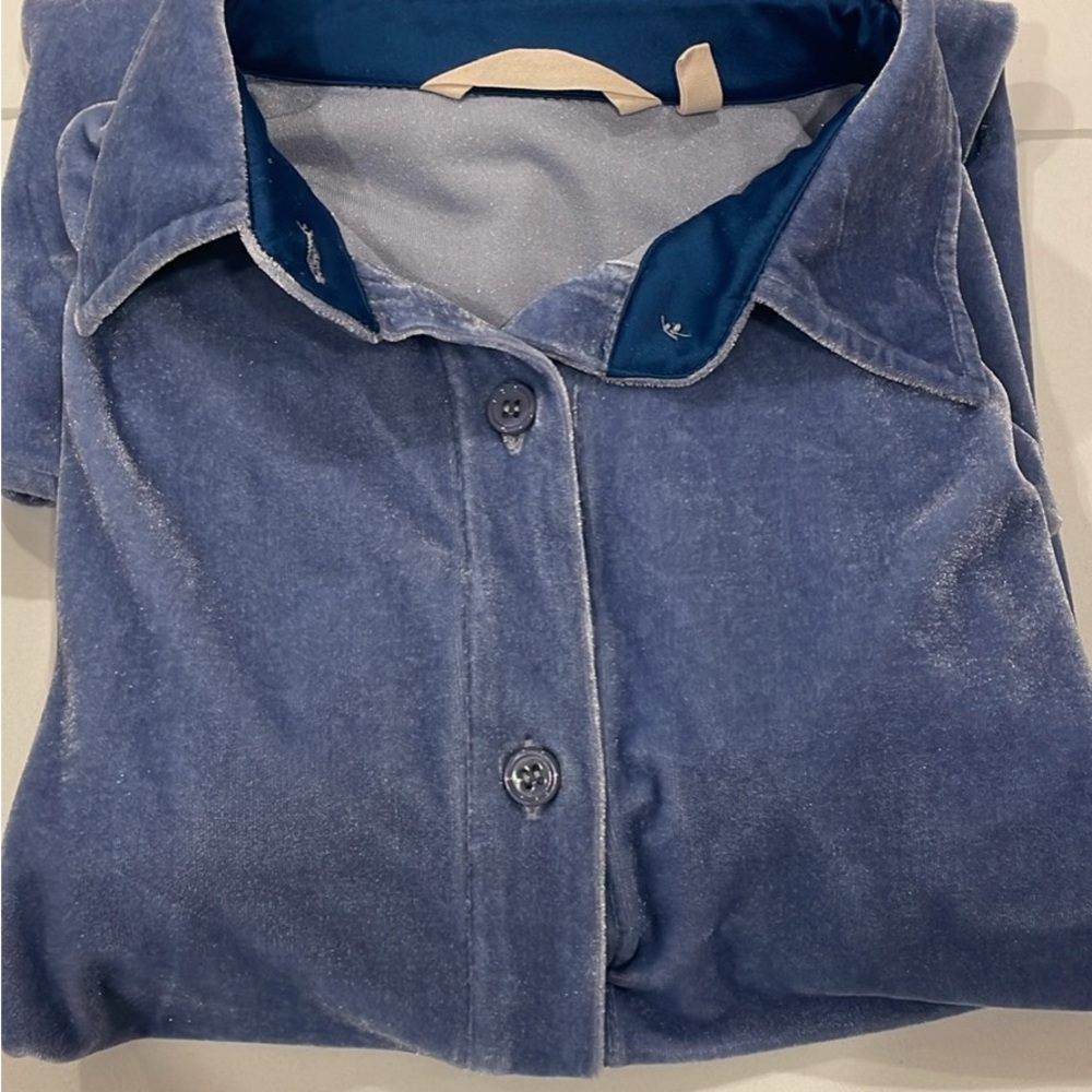 SOLD Soft Surroundinga Blue Velvet Button-Up Tunic
